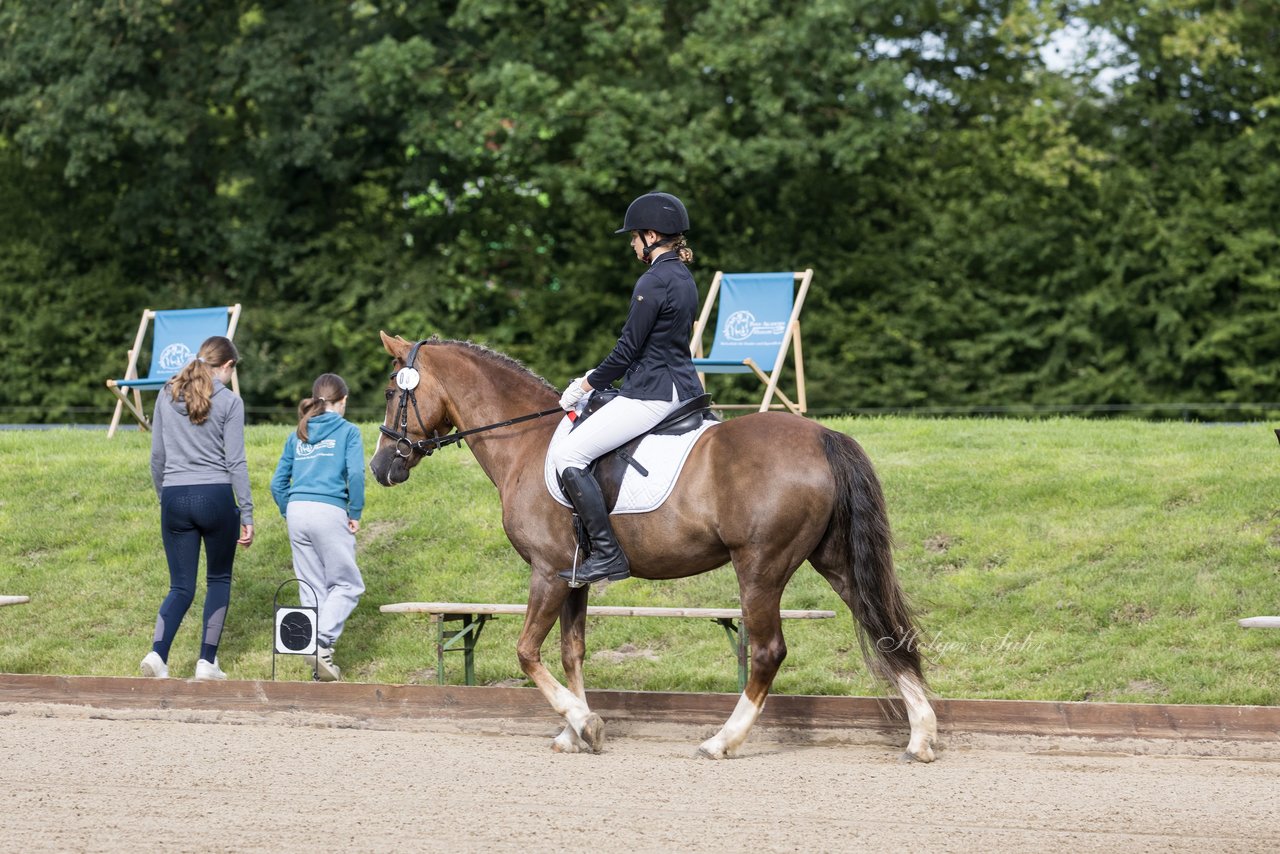 Bild 4 - Pony Akademie Turnier